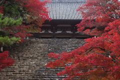 �y�G�[�XJTB�z���s�c�A�[�\��E���s�̗��فE�z�e���\��